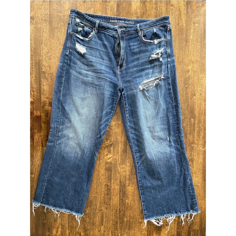AEO Wide Leg Crop